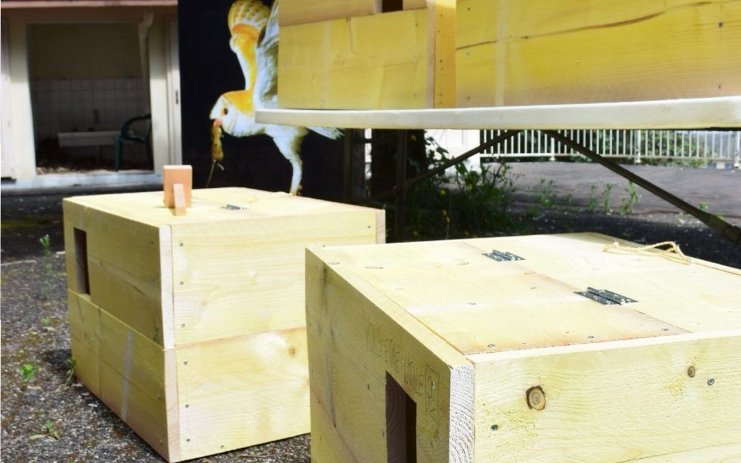 Une dame blanche dans votre grenier  ?